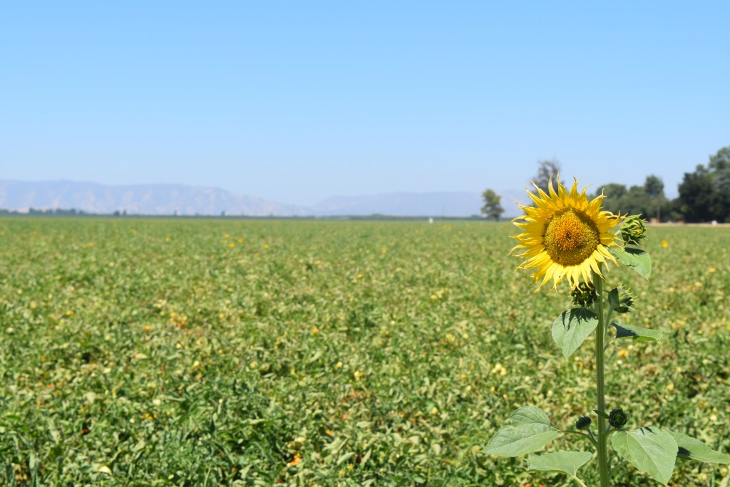 Permission to Feel &&nbsp;Be