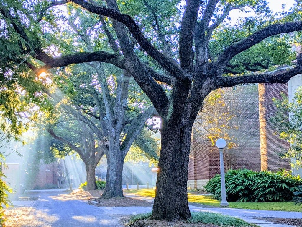 A Prayer for&nbsp;2020